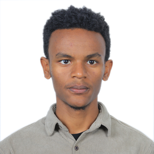 Ligula tristique quis risus