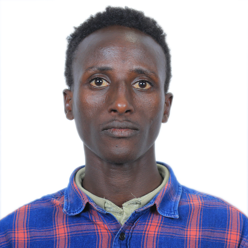 Ligula tristique quis risus